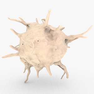 Platelet Activate