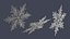 Ice Crystal
