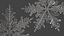 Ice Crystal