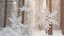 Ice Crystal