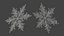 Ice Crystal