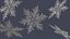 Ice Crystal