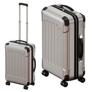 3D model Travel bag suitcase case