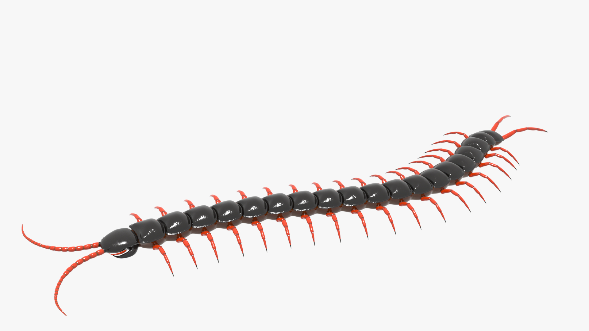 3D Model Black Red - TurboSquid 1706456