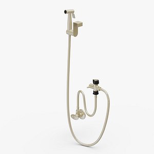 3D Wall-Mounted Gold Handheld Bidet Sprayer