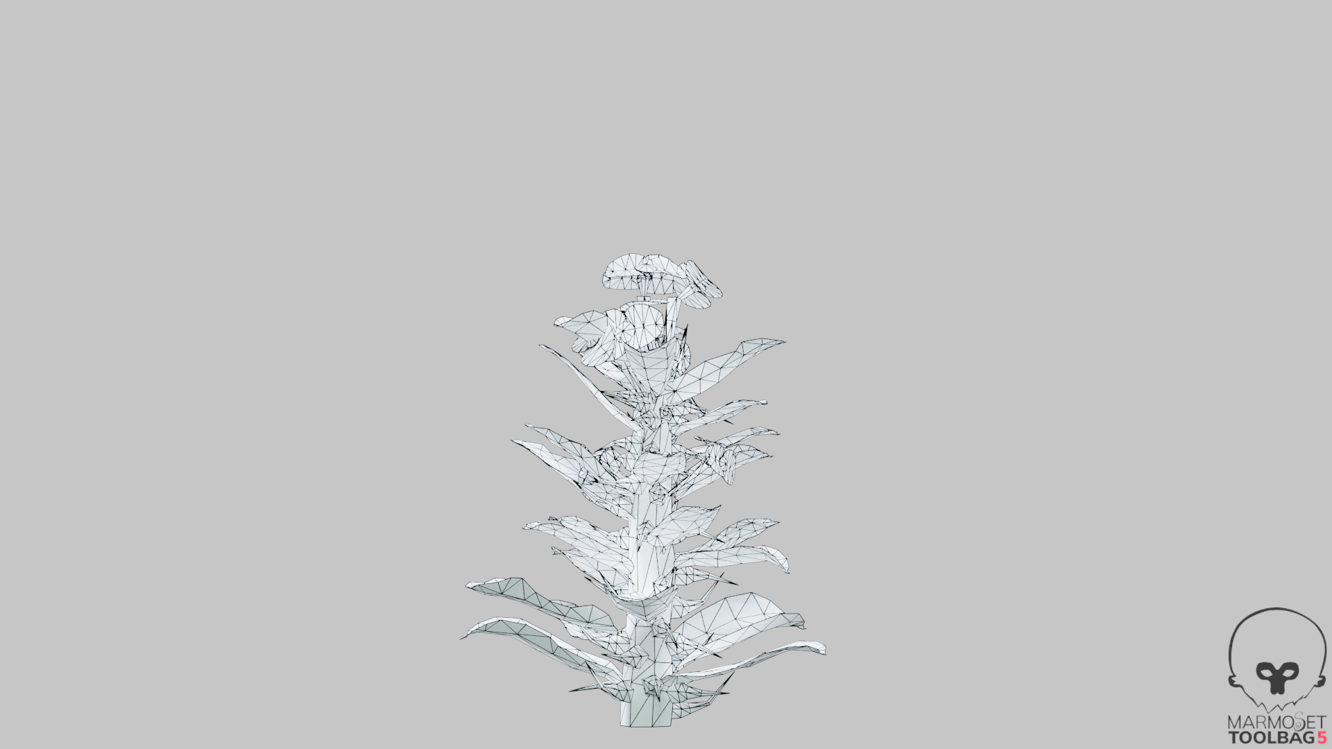 3D EuphorbiaMilii crown-of-thorns Low-poly 3D model model https://p.turbosquid.com/ts-thumb/1f/kiUzDj/It/euphorbiamiliia_360wireveiw_4/png/1765358317/1920x1080/turn_fit_q99/9e1fc83a967b2d42d65e88467a211b8d729038a9/euphorbiamiliia_360wireveiw_4-1.jpg