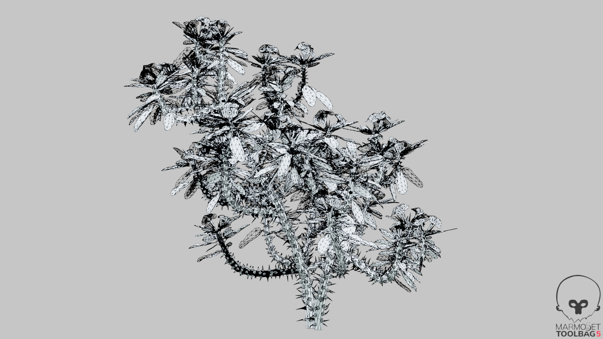 3D EuphorbiaMilii crown-of-thorns Low-poly 3D model model https://p.turbosquid.com/ts-thumb/1f/kiUzDj/jz/euphorbiamiliid_360wireveiw_4/png/1765358827/1920x1080/turn_fit_q99/8d5b63718bb7c9675751fcce03bea51d392fab2c/euphorbiamiliid_360wireveiw_4-1.jpg