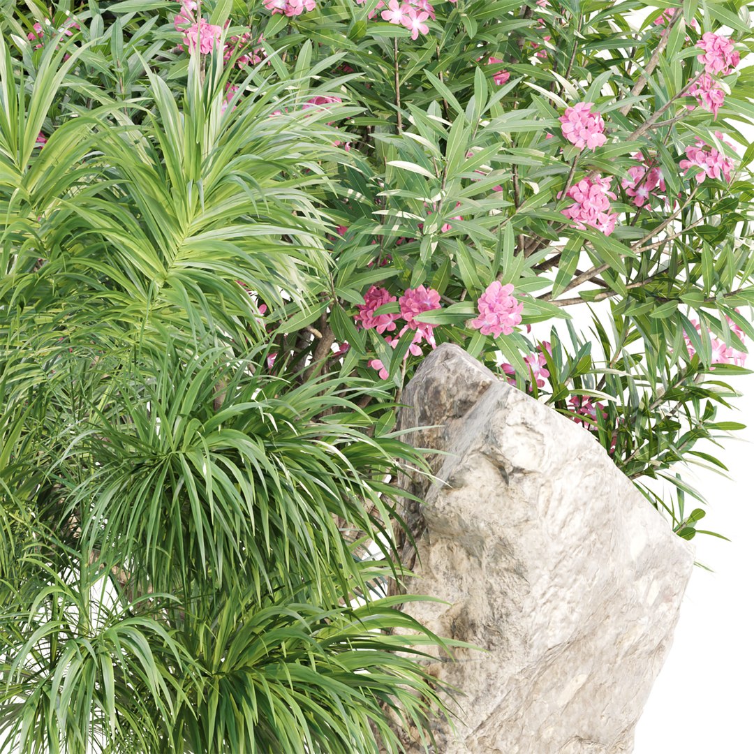 3D model Outdoor Plants for Garden Set 515 3D Plant Model https://p.turbosquid.com/ts-thumb/1f/qgkNco/2K/4/jpg/1784200074/1920x1080/fit_q87/eff2be0d756d01b8aeb35b7bf1e93a3249649ad7/4.jpg