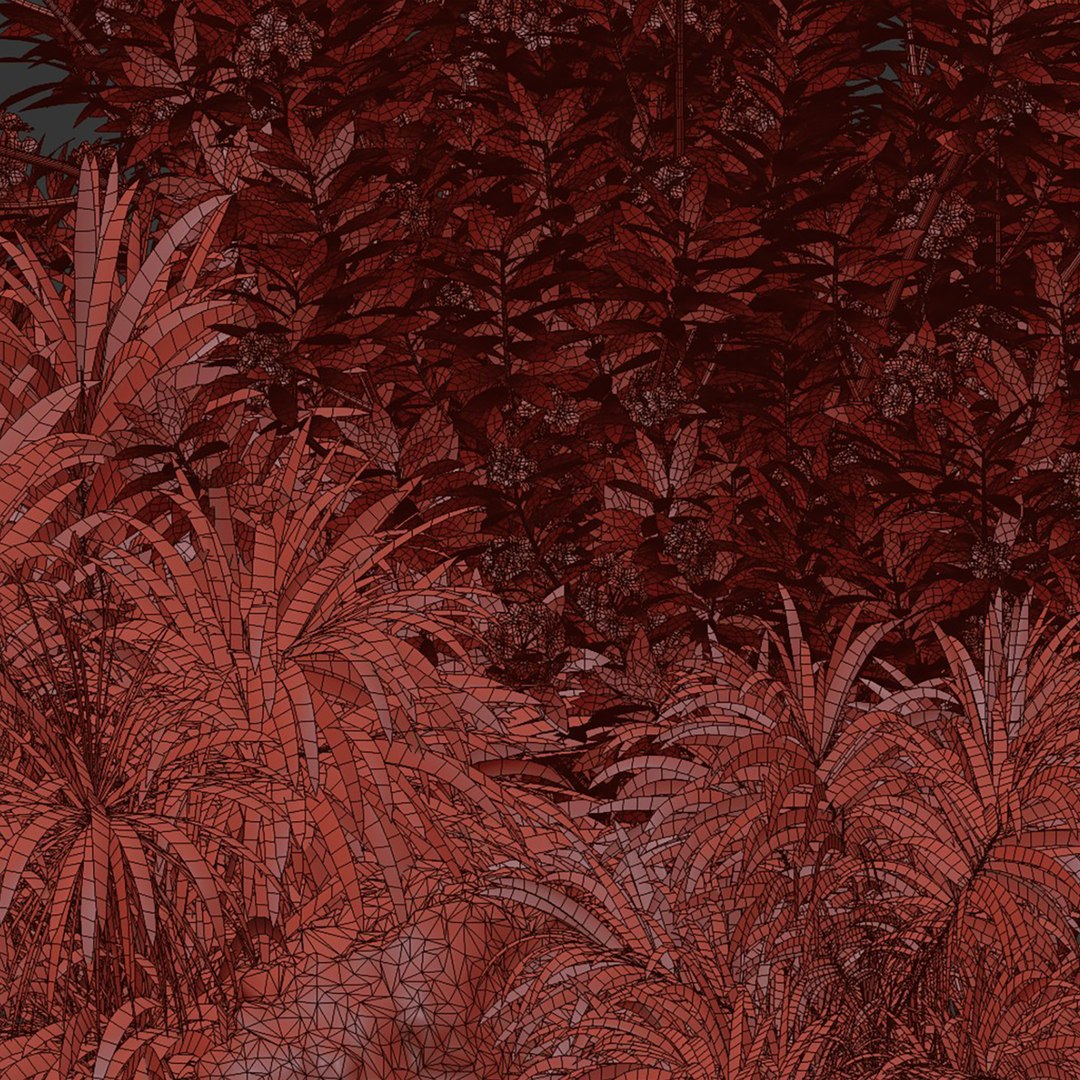 3D model Outdoor Plants for Garden Set 515 3D Plant Model https://p.turbosquid.com/ts-thumb/1f/qgkNco/4t/6/jpg/1784200075/1920x1080/fit_q87/7f586564e7a44eff0a7d12d4d3b848d4d5fb3bf7/6.jpg