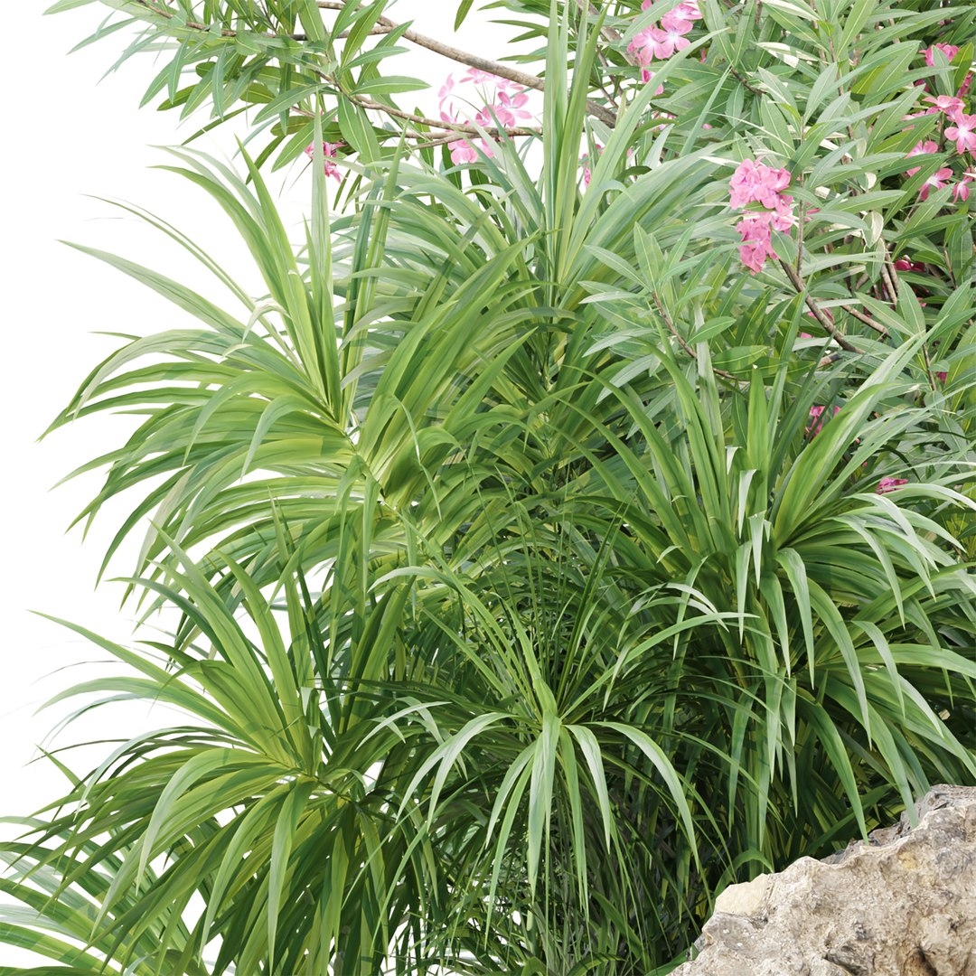 3D model Outdoor Plants for Garden Set 515 3D Plant Model https://p.turbosquid.com/ts-thumb/1f/qgkNco/G7/2/jpg/1784200073/1920x1080/fit_q87/96ec7970a9b4869b955d423fe5dd1a2511c16e14/2.jpg