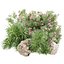 Gartenpflanzen-Set 515, 3D-Pflanzenmodell