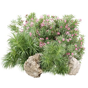 Outdoor Plants for Garden Set 515 3D Plant Model