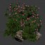 Gartenpflanzen-Set 515, 3D-Pflanzenmodell