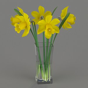 Yellow daffodils in a glass vase