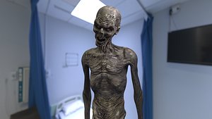 3D THE MUMMY