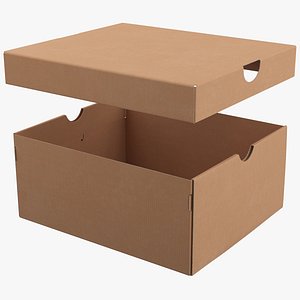 Cardboard Box