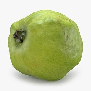 3D Guava