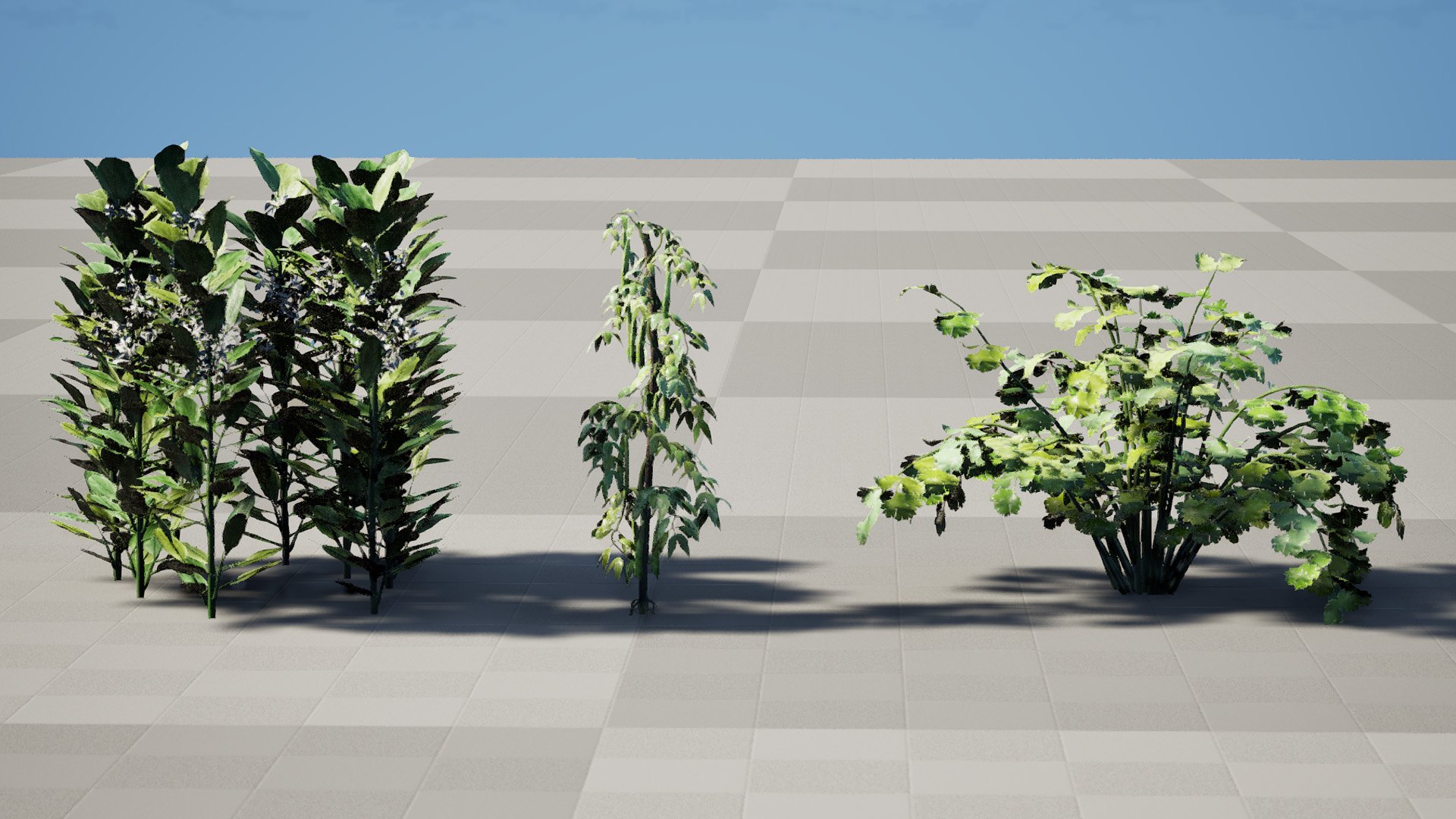 3D Broad Bean Plant Collection 3D Model model https://p.turbosquid.com/ts-thumb/1g/CpXScs/QI/highresscreenshot00001/jpg/1771978350/1920x1080/fit_q87/9a55a2686f6efff76055c9d5876d9d5e4ef3e7ff/highresscreenshot00001.jpg