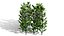Broad Bean Plant Collection 3D Model