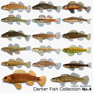 darter fish 3d fbx