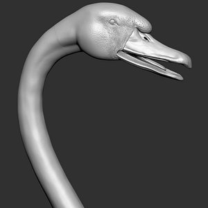 Swan VFX Zbrush Sculpture digitale