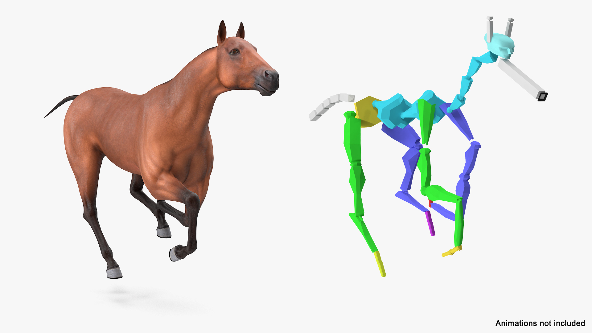 Bay Thoroughbred Stallion Racing