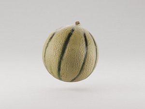 Cantaloupe Melon fruit 3d model