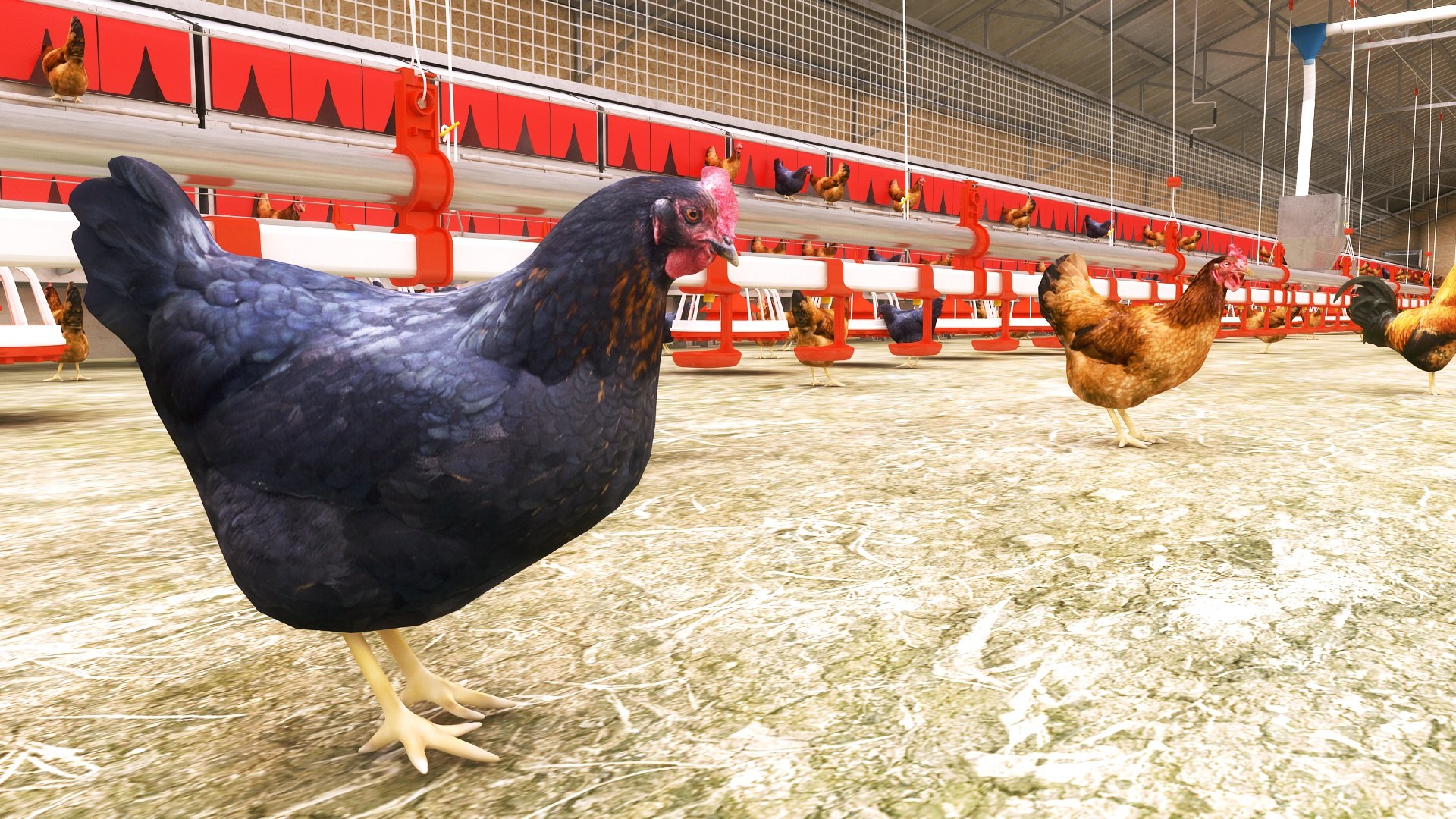3D Farm Automatic System Cow and Chicken Collection https://p.turbosquid.com/ts-thumb/1g/wDXl76/Nc/chikenfarm7/jpg/1763847726/1920x1080/fit_q87/a5c2cac65d10c71d8ed4367b7142607aee508e7b/chikenfarm7.jpg