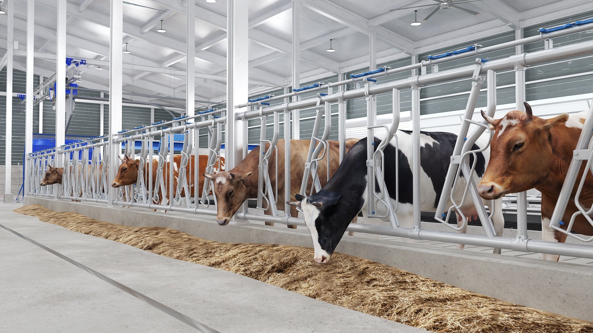 3D Farm Automatic System Cow and Chicken Collection https://p.turbosquid.com/ts-thumb/1g/wDXl76/QY/automaticsystemcowfarm7/jpg/1763847683/1920x1080/fit_q87/8e191d0f237c22ef70aaa6f7c7995a8a5477bde1/automaticsystemcowfarm7.jpg