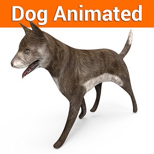 german shepherd dog rigged 3D model