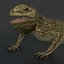 3d iguana rig animation model