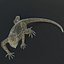 3d iguana rig animation model