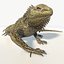 3d iguana rig animation model