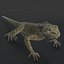3d iguana rig animation model