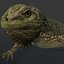 3d iguana rig animation model