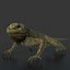 3d iguana rig animation model