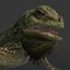 3d iguana rig animation model
