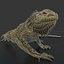 3d iguana rig animation model