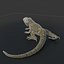 3d iguana rig animation model