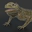 3d iguana rig animation model