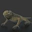 3d iguana rig animation model