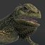 3d iguana rig animation model