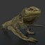 3d iguana rig animation model