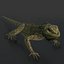 3d iguana rig animation model