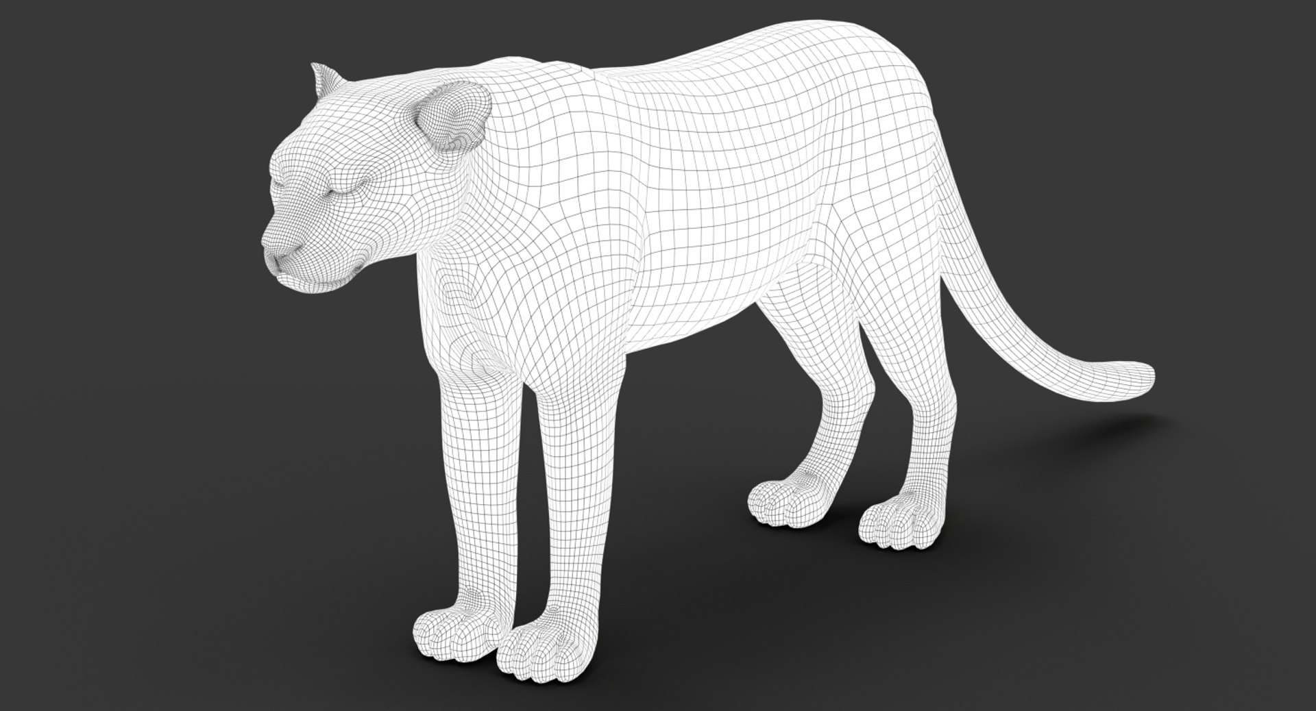 Leopard rigged animations 3 3D - TurboSquid 1353708
