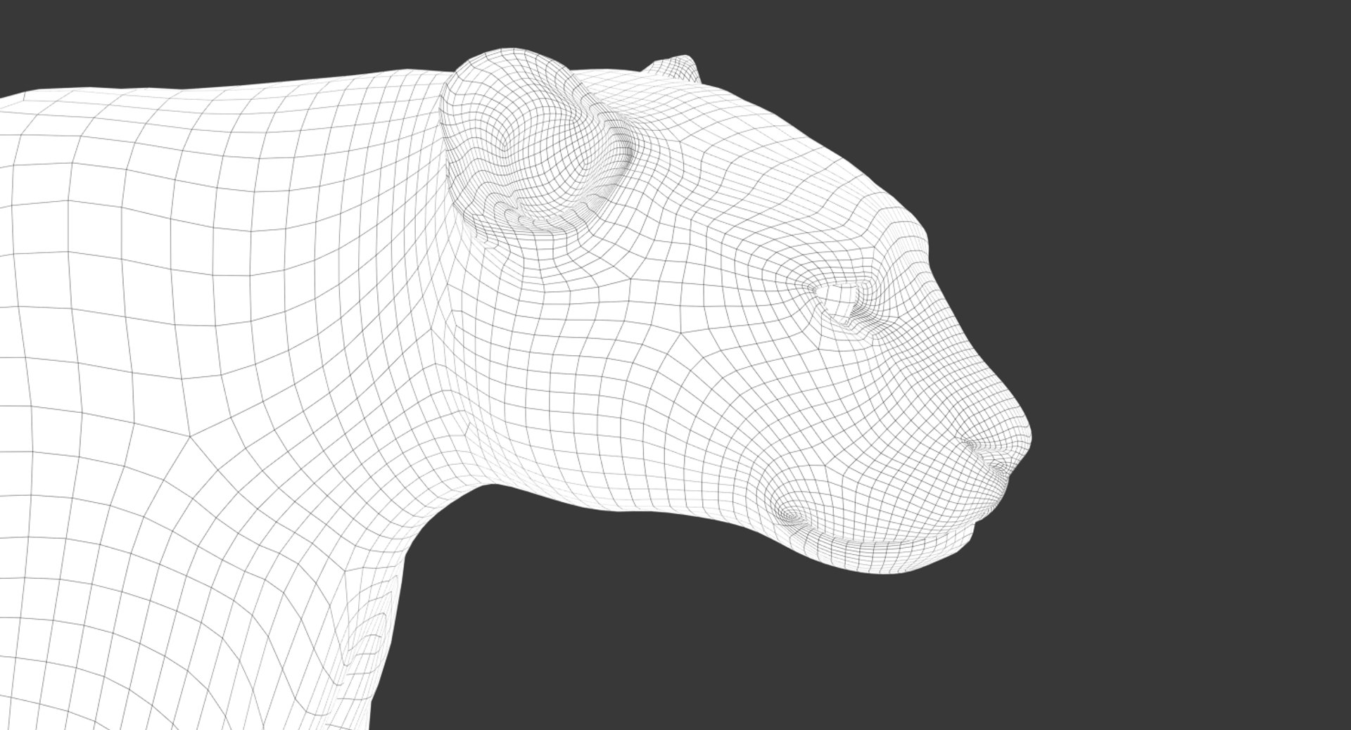 Leopard rigged animations 3 3D - TurboSquid 1353708
