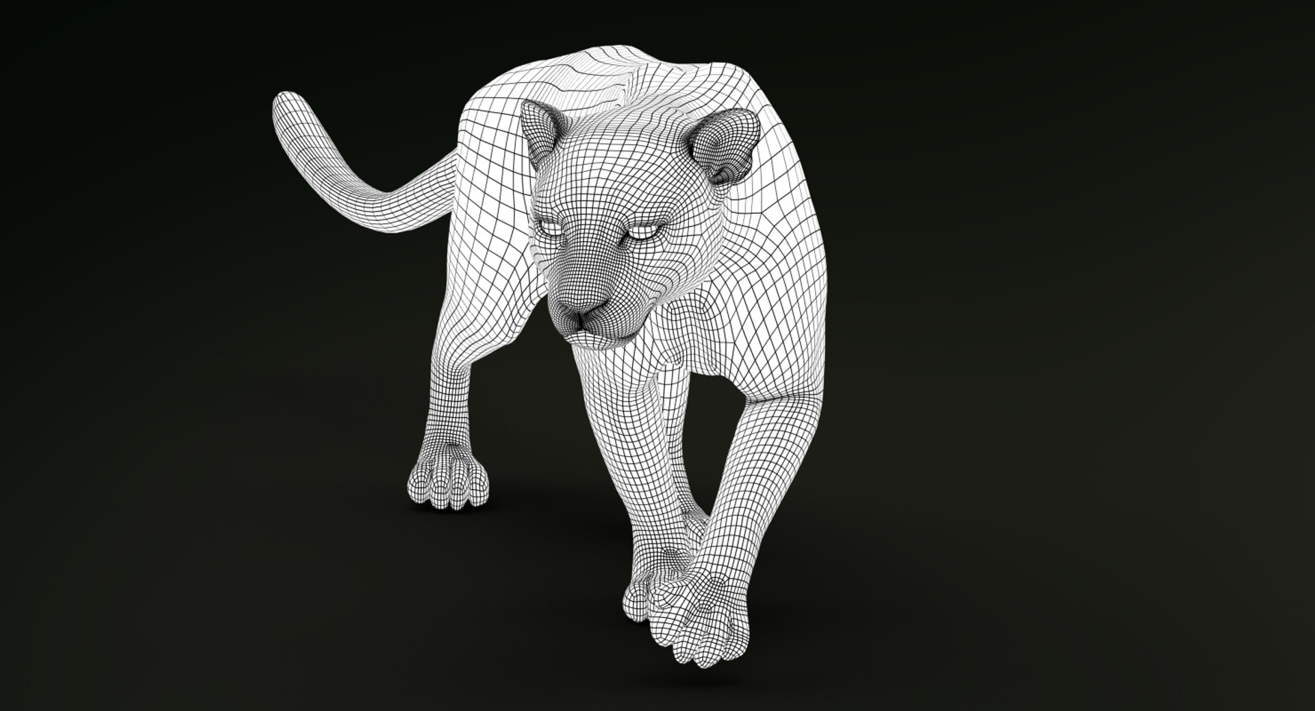 Leopard rigged animations 3 3D - TurboSquid 1353708