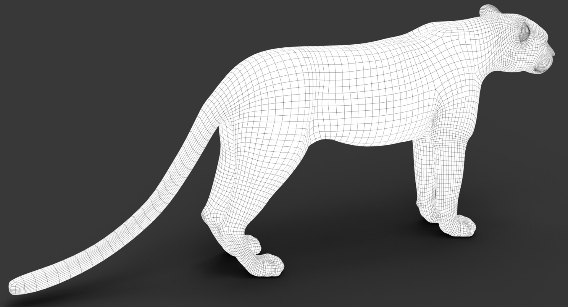 Leopard rigged animations 3 3D - TurboSquid 1353708