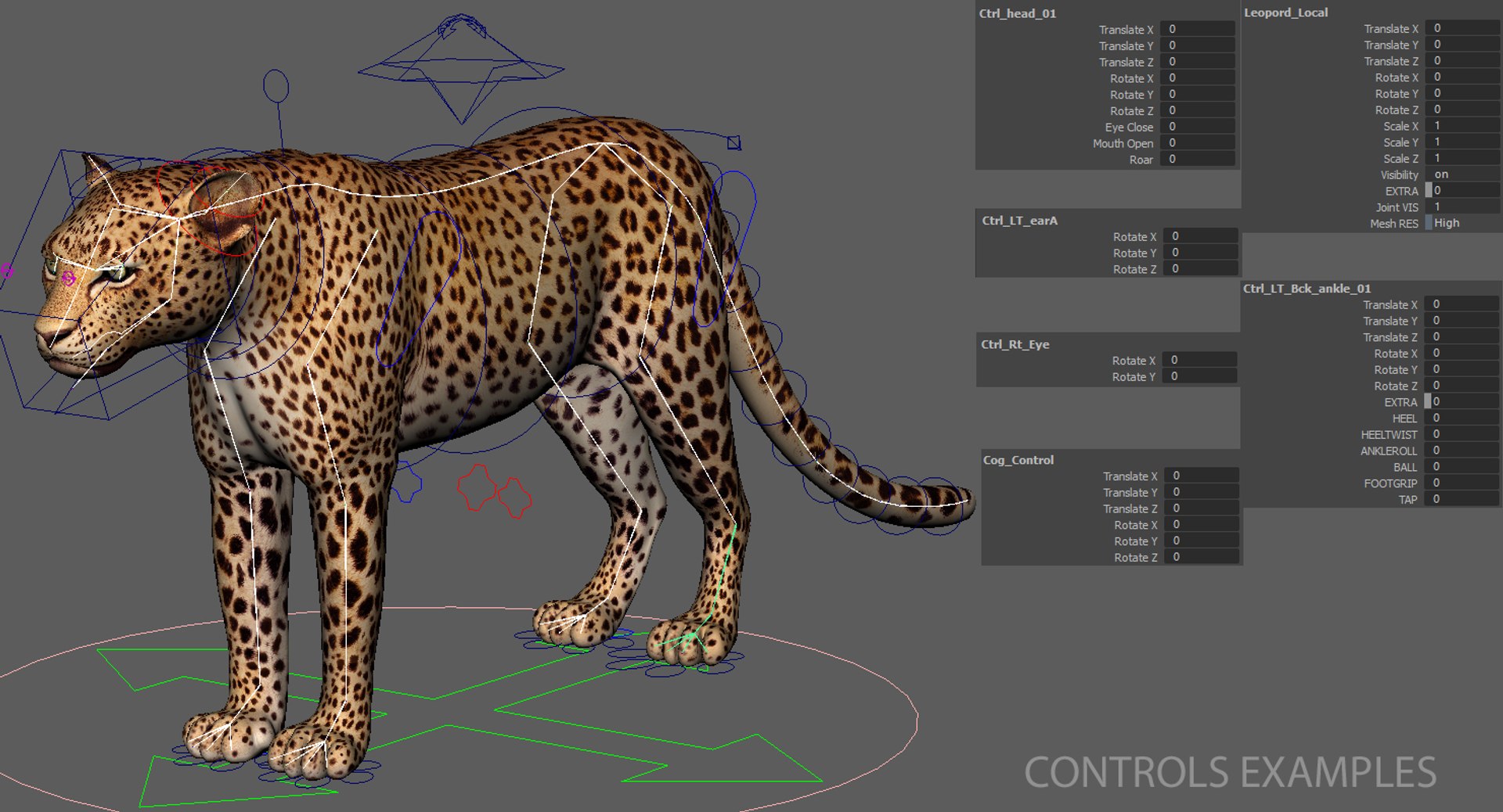 Leopard rigged animations 3 3D - TurboSquid 1353708