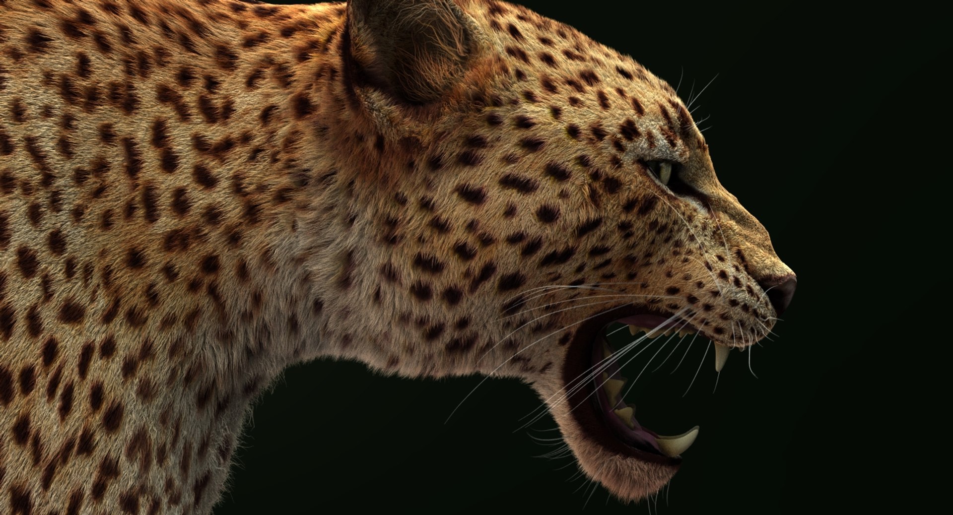 Leopard rigged animations 3 3D - TurboSquid 1353708
